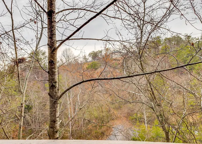 Pigeon Forge Resort Studio Cabin On Dollywood Ln!